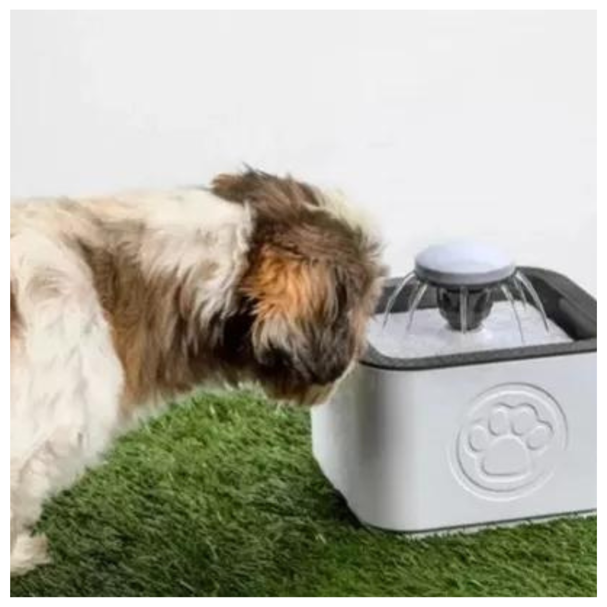 Fuente de Agua Automática 2.5L Mascotas