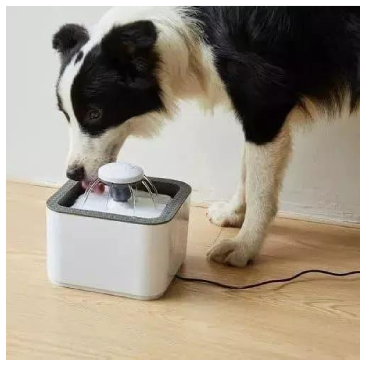 Fuente de Agua Automática 2.5L Mascotas