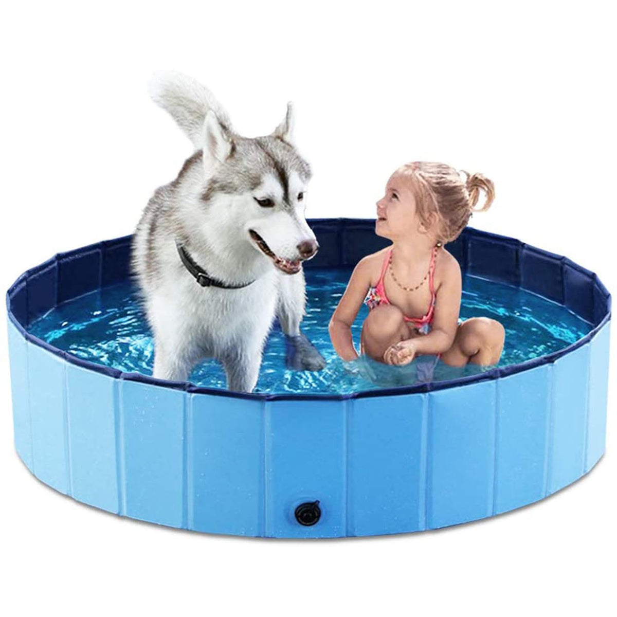 Piscina Plegable Mascotas y Niños