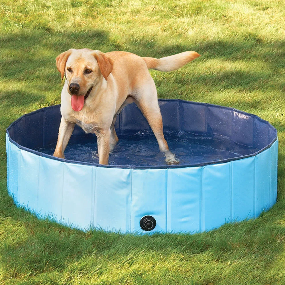 Piscina Plegable Mascotas y Niños