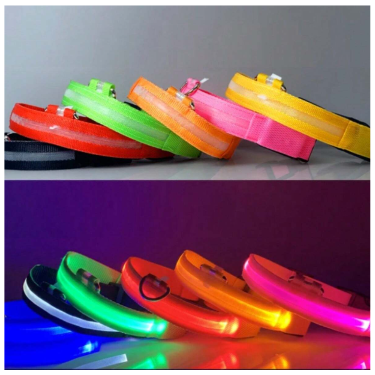 Comparativa de colores de collares LED para perros de día y su potente iluminación de luz fija y parpadeante de noche