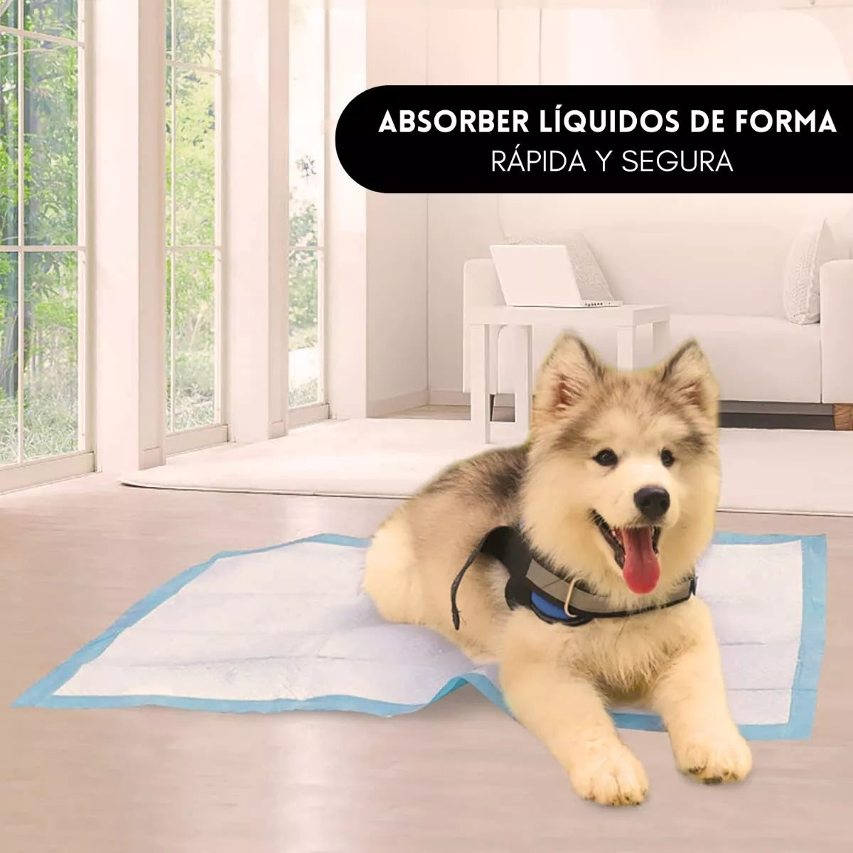 Cachorro sobre sabanilla absorbente para perros en piso de departamento mostrando absorción rápida de líquidos